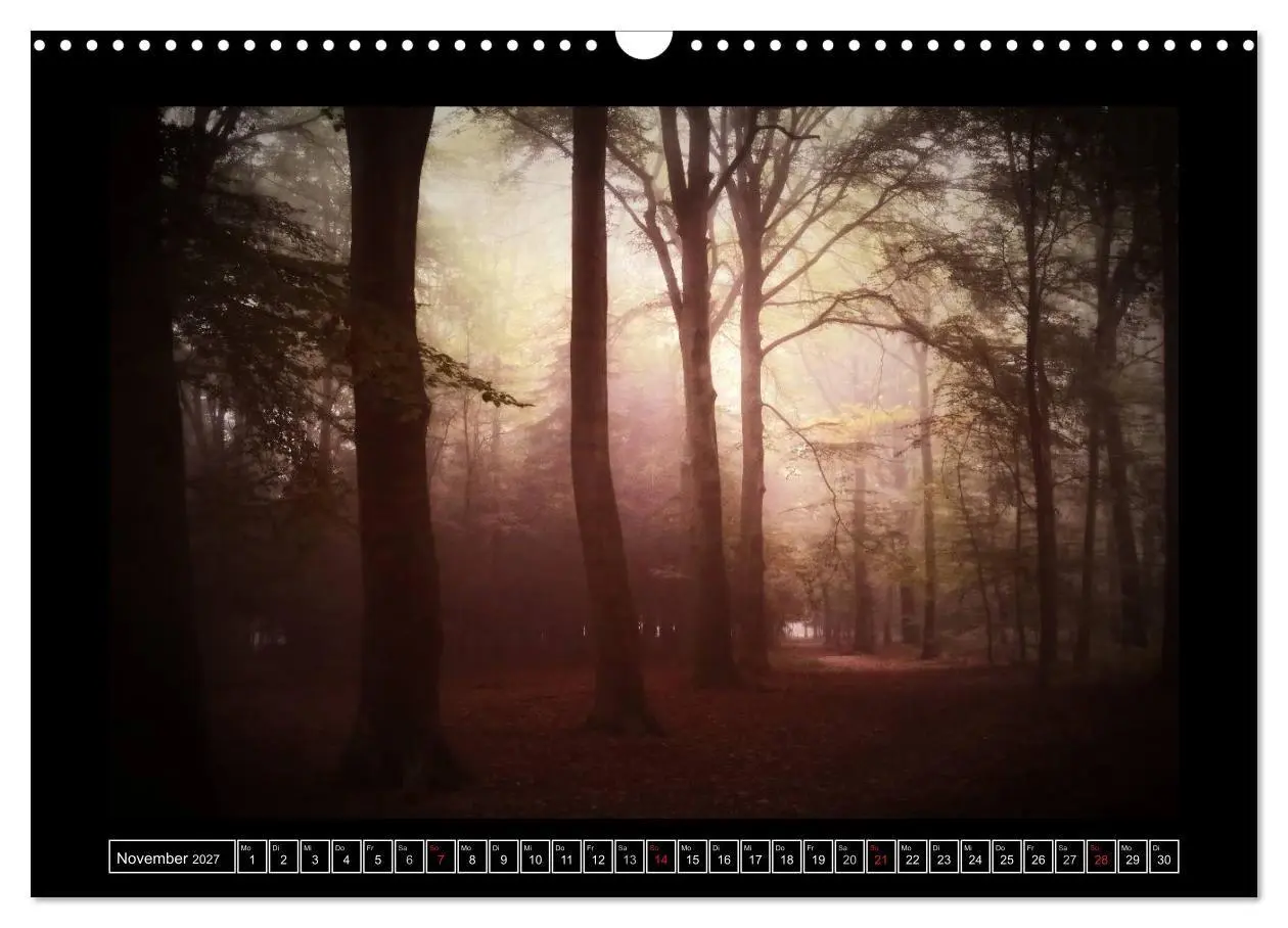 Bild: 9783569904026 | Der Reichswald bei Kleve (Wandkalender 2027 DIN A3 quer), CALVENDO...