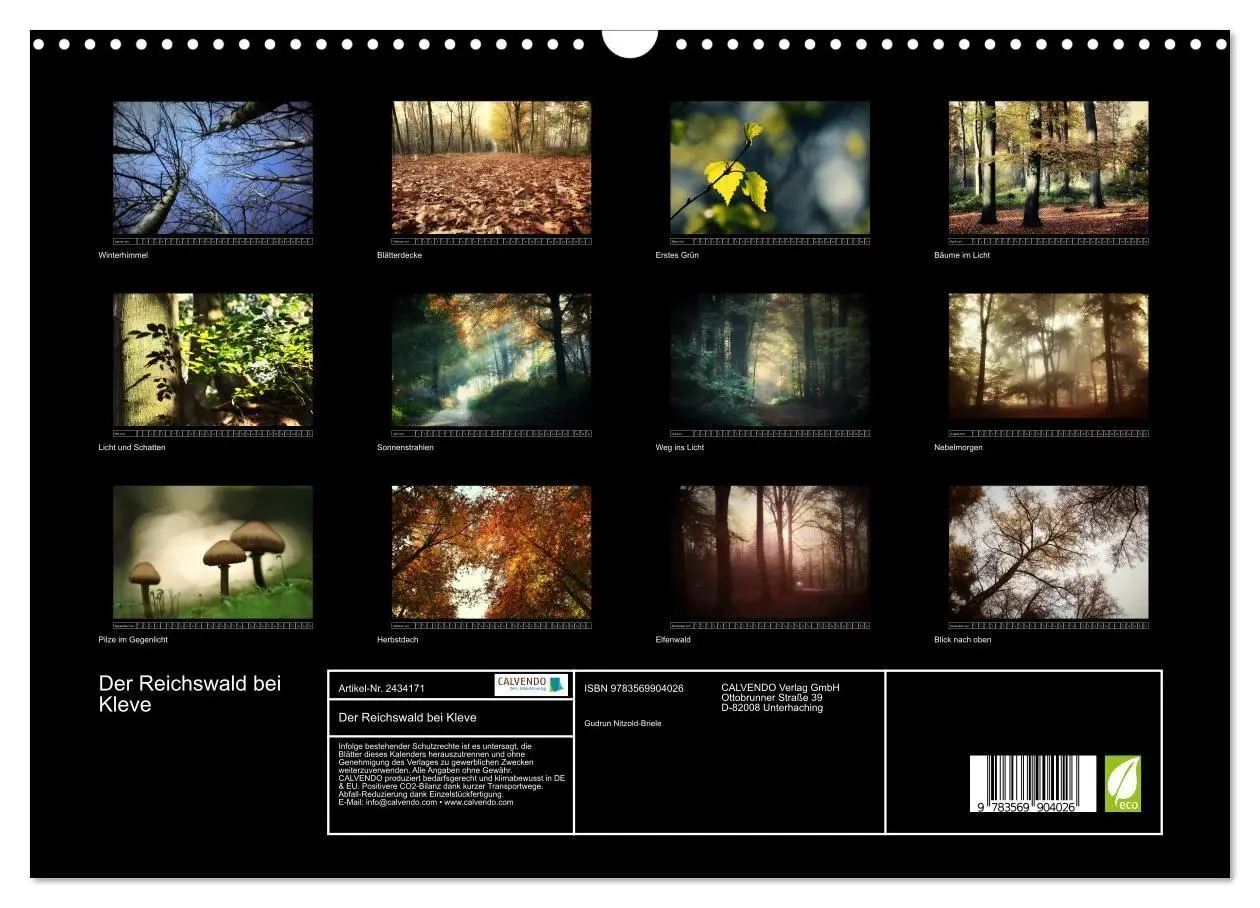 Bild: 9783569904026 | Der Reichswald bei Kleve (Wandkalender 2027 DIN A3 quer), CALVENDO...