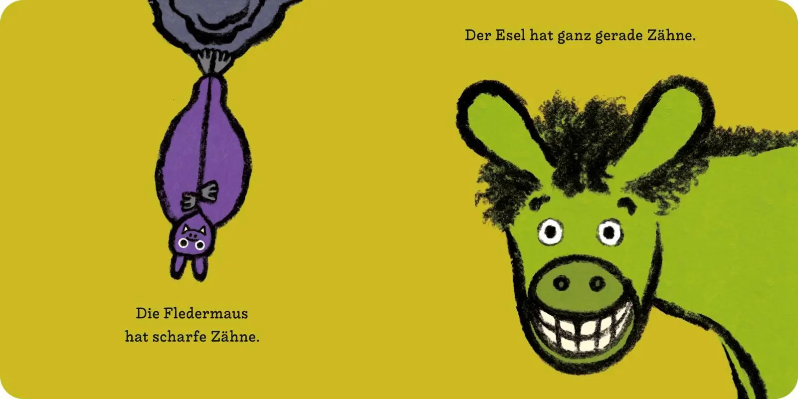 Bild: 9783737374026 | Zeigt her eure Zähne! | Daishu Ma | Buch | 24 S. | Deutsch | 2025