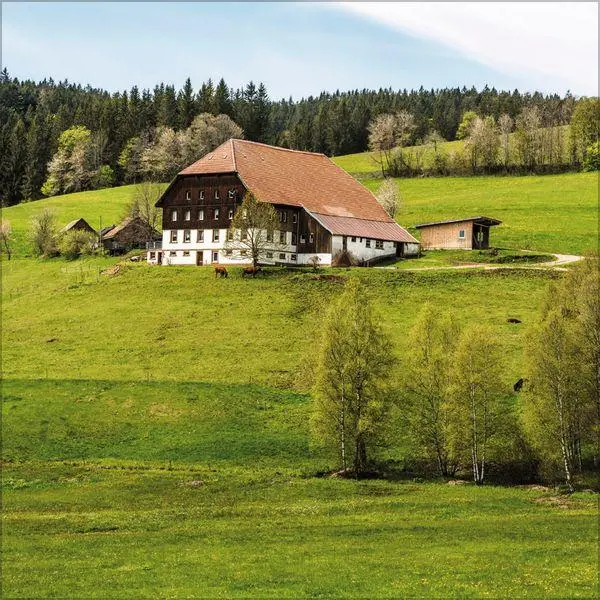 Bild: 9783819304026 | Schwarzwald 2027 | Verlag Korsch | Kalender | 13 S. | Deutsch | 2027