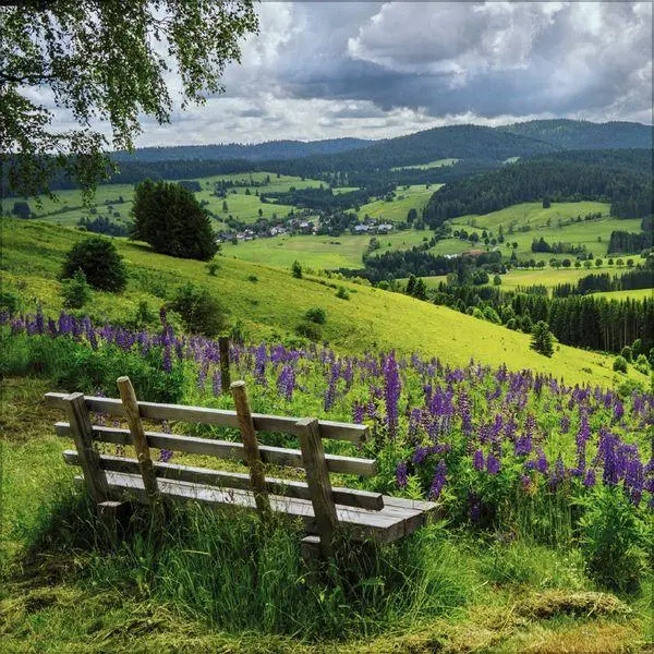 Bild: 9783819304026 | Schwarzwald 2027 | Verlag Korsch | Kalender | 13 S. | Deutsch | 2027