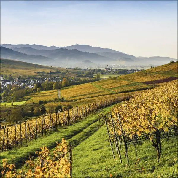 Bild: 9783819304026 | Schwarzwald 2027 | Verlag Korsch | Kalender | 13 S. | Deutsch | 2027
