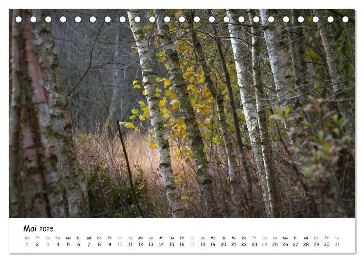 Bild: 9783435624126 | Unterwegs im Teufelsmoor (Tischkalender 2025 DIN A5 quer), CALVENDO...