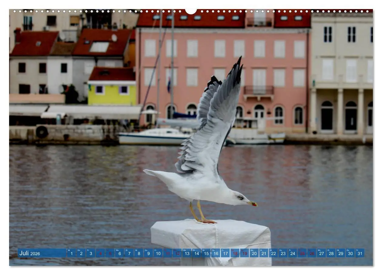 Bild: 9783457714126 | Inselwelt Cres &amp; Losinj (hochwertiger Premium Wandkalender 2026 DIN...
