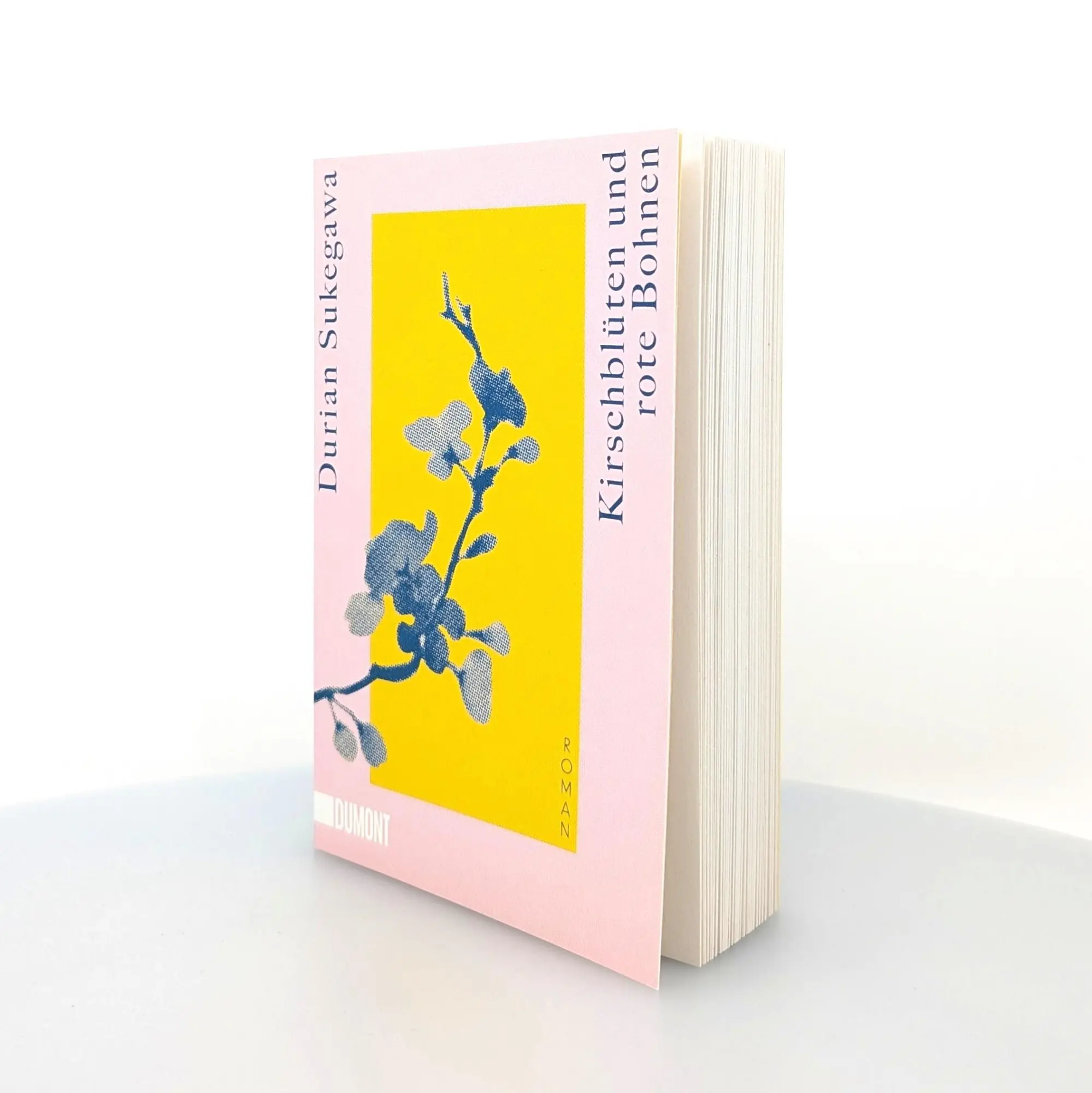 Bild: 9783832164126 | Kirschblüten und rote Bohnen | Durian Sukegawa | Taschenbuch | 224 S.