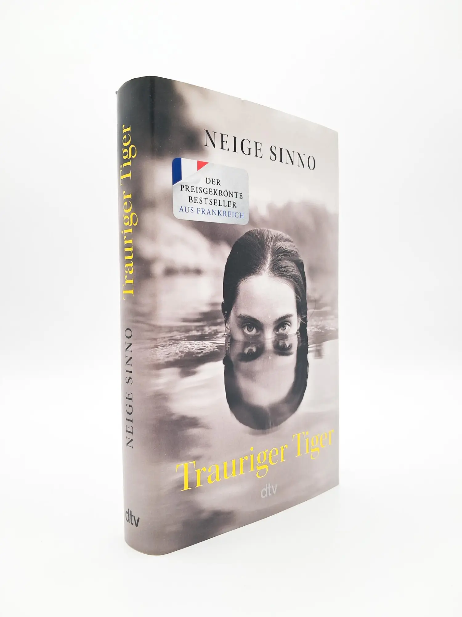Bild: 9783423284226 | Trauriger Tiger | Neige Sinno | Buch | 304 S. | Deutsch | 2024