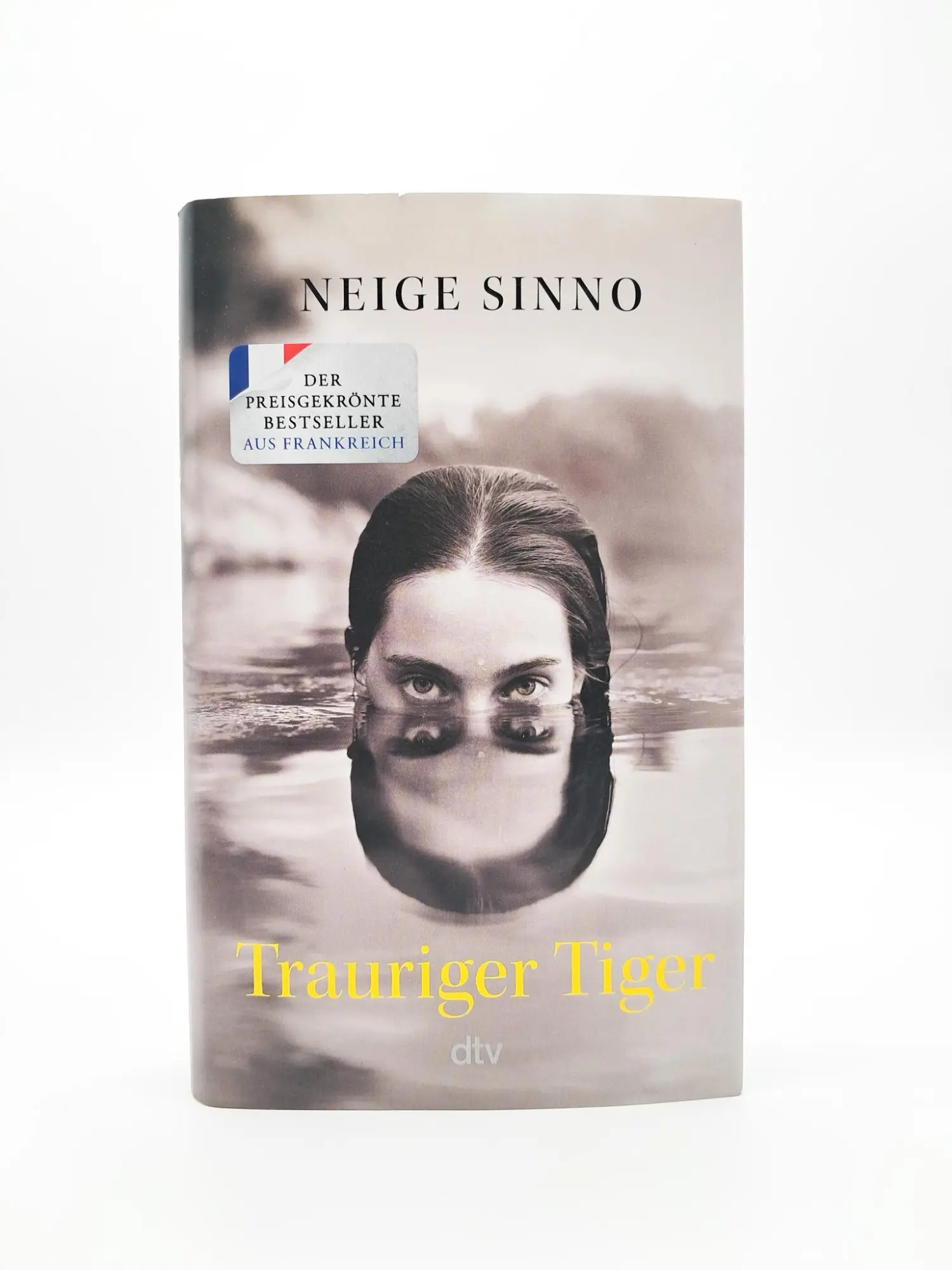 Bild: 9783423284226 | Trauriger Tiger | Neige Sinno | Buch | 304 S. | Deutsch | 2024