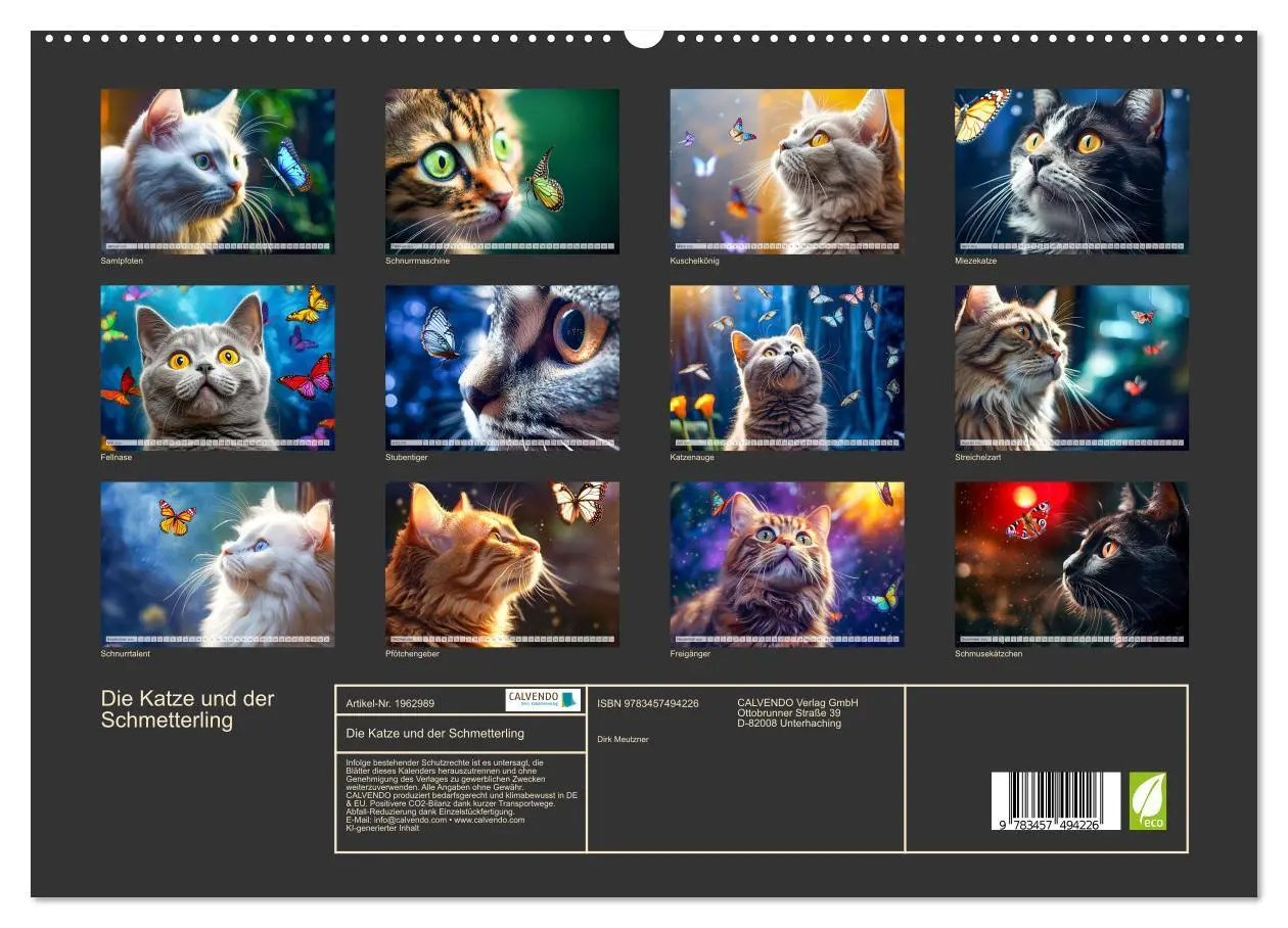 Bild: 9783457494226 | Die Katze und der Schmetterling (hochwertiger Premium Wandkalender...