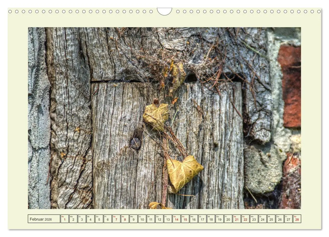 Bild: 9783457624326 | Einfach Holz (Wandkalender 2026 DIN A3 quer), CALVENDO Monatskalender