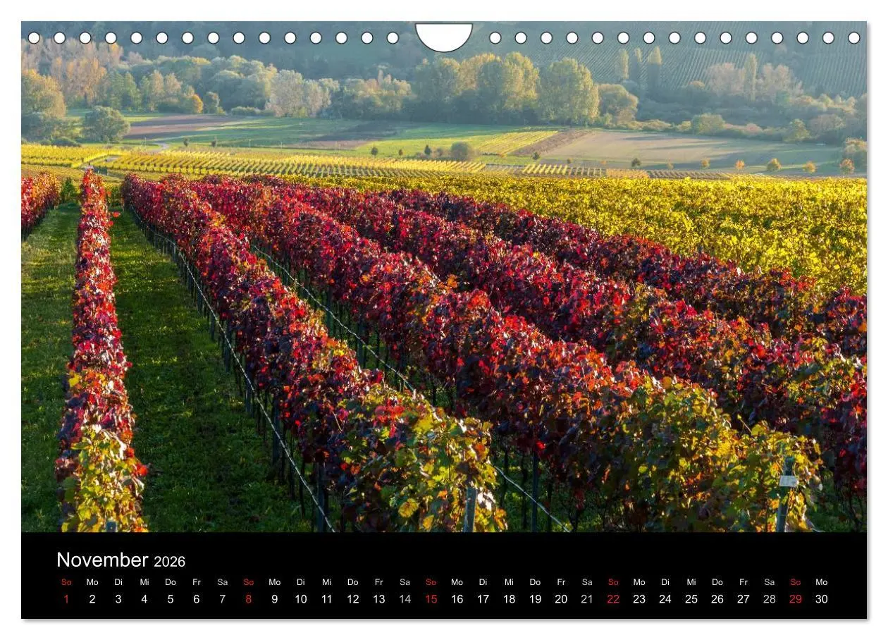 Bild: 9783516024326 | Sommerach - Perle der Mainschleife (Wandkalender 2026 DIN A4 quer),...