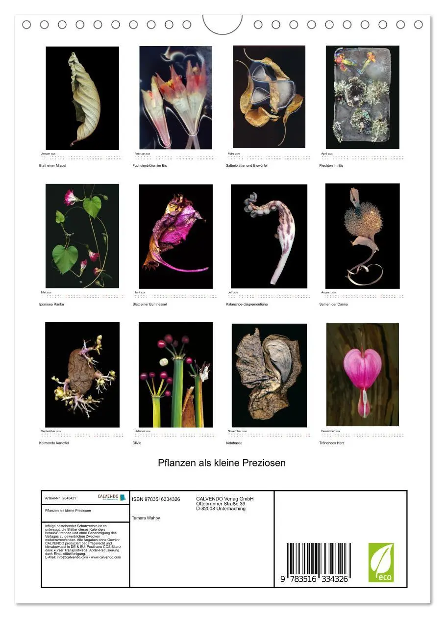 Bild: 9783516334326 | Pflanzen als kleine Preziosen (Wandkalender 2026 DIN A4 hoch),...