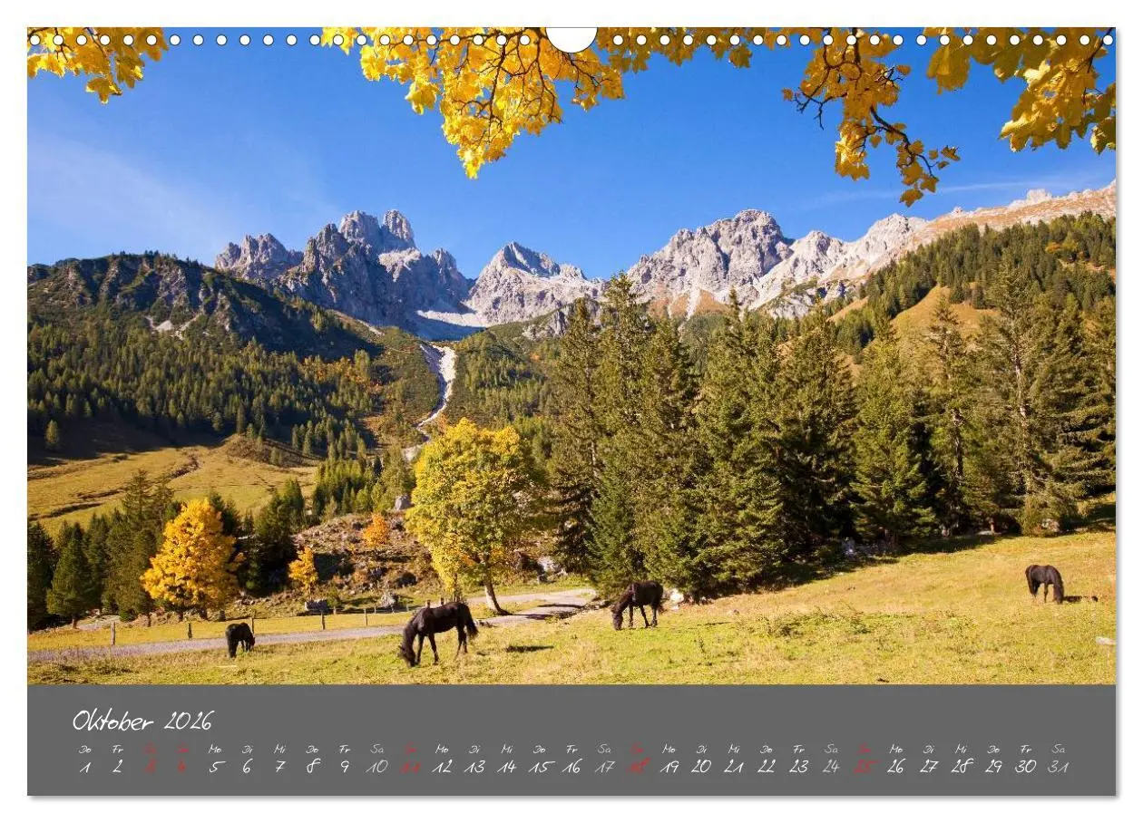 Bild: 9783516014426 | Meine schönsten Plätze im Salzburger Land (Wandkalender 2026 DIN A3...