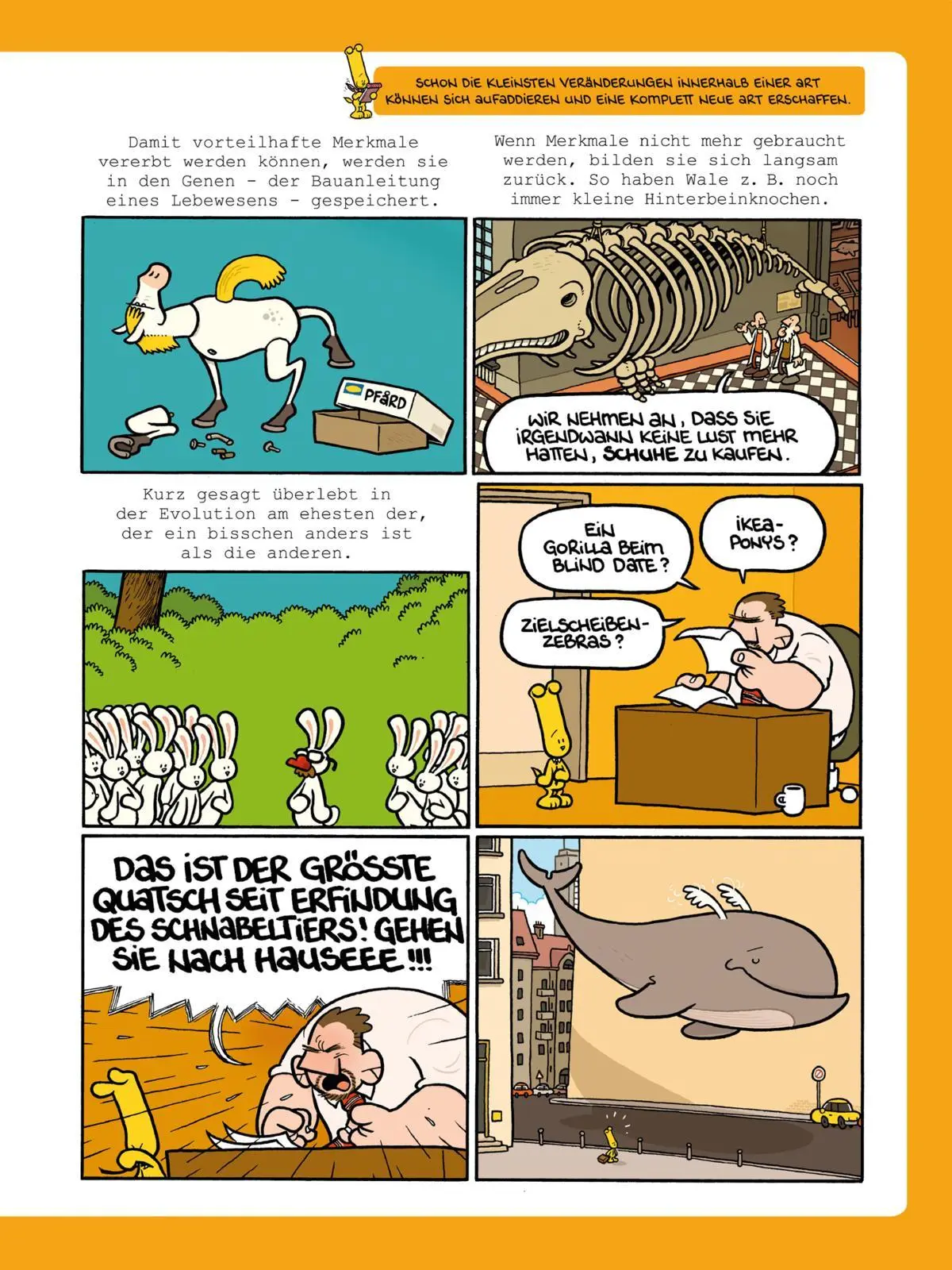 Bild: 9783551804426 | Frag Ferdinand: Natur und Tiere | Ralph Ruthe (u. a.) | Buch | 56 S.