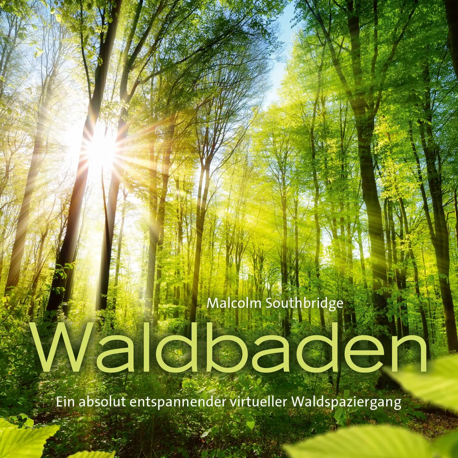 Cover: 9783957664426 | Waldbaden | Ein absolut entspannender virtueller Waldspaziergang! | CD