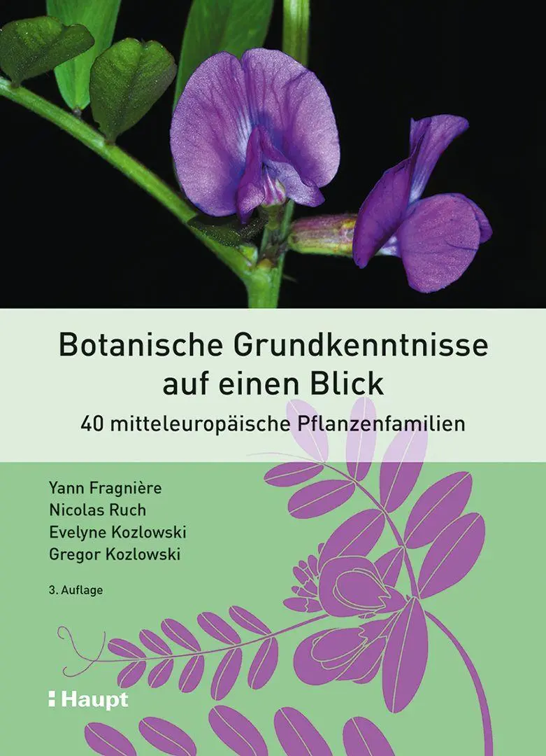 Cover: 9783258084626 | Botanische Grundkenntnisse auf einen Blick | Yann Fragnière (u. a.)