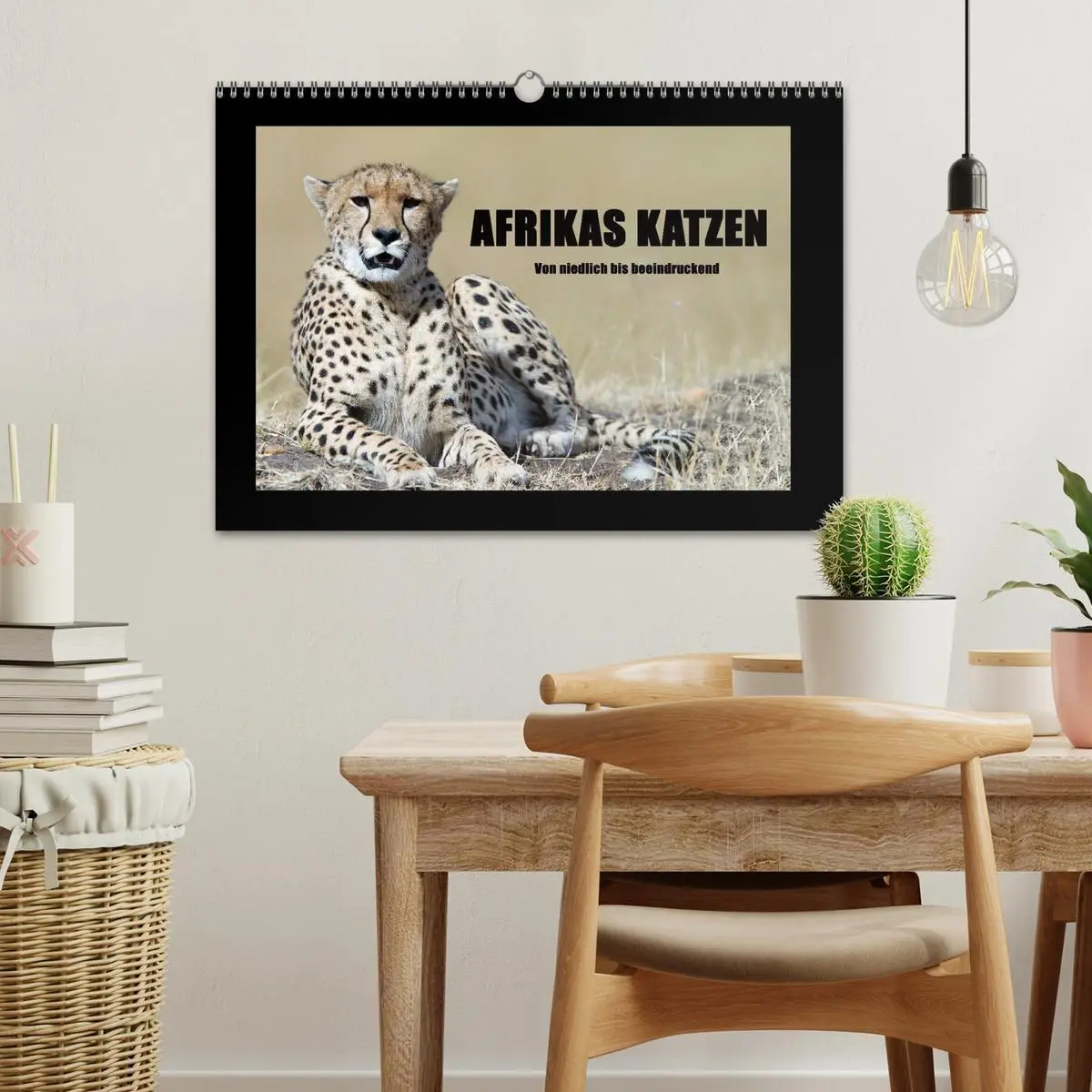 Bild: 9783516164626 | Afrikas Katzen (Wandkalender 2026 DIN A3 quer), CALVENDO...