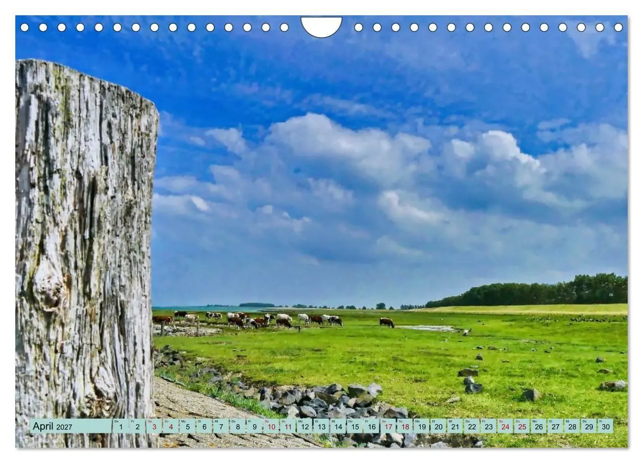 Bild: 9783516784626 | Magische Küste Zeeland (Wandkalender 2027 DIN A4 quer), CALVENDO...