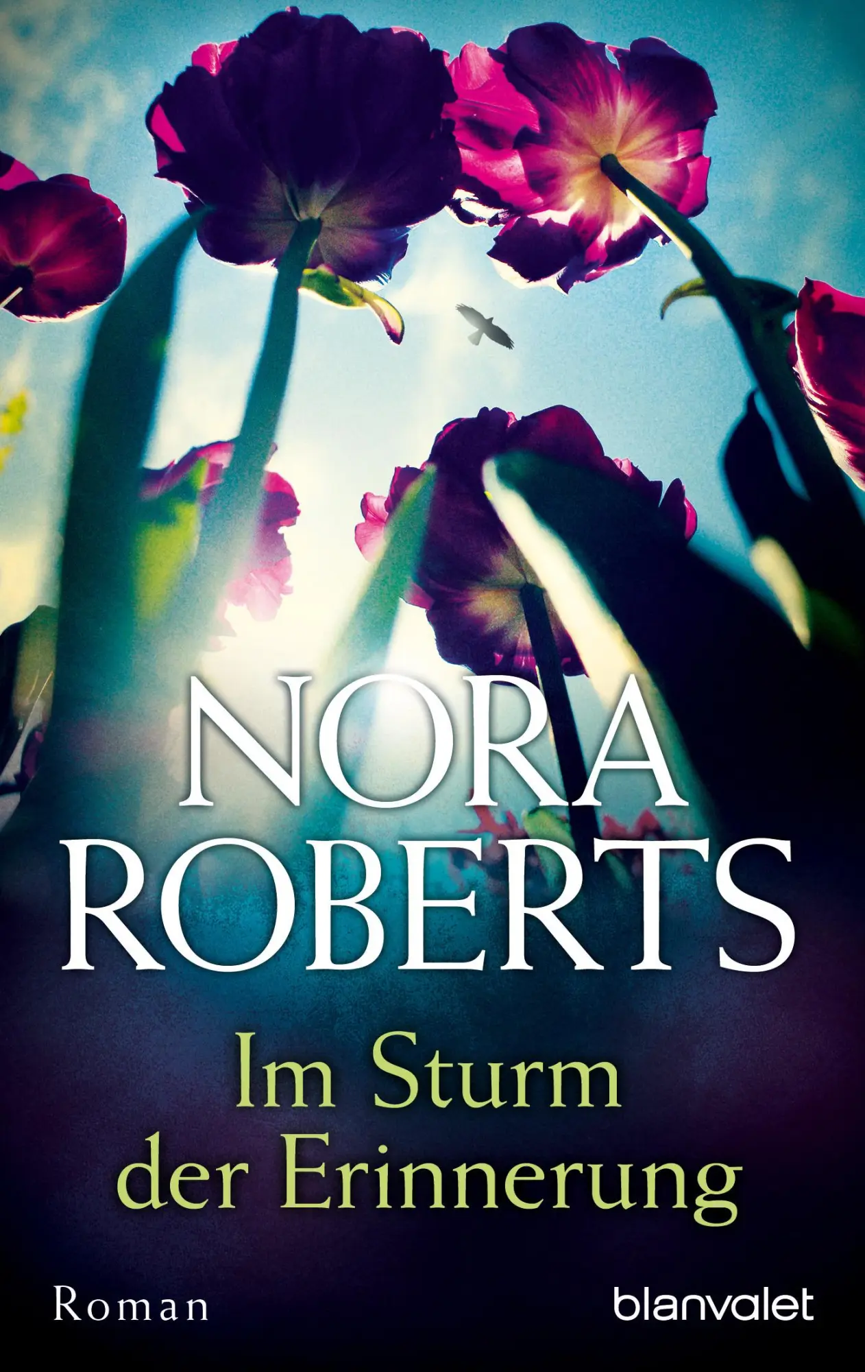 Cover: 9783734104626 | Im Sturm der Erinnerung | Nora Roberts | Taschenbuch | 320 S. | 2017