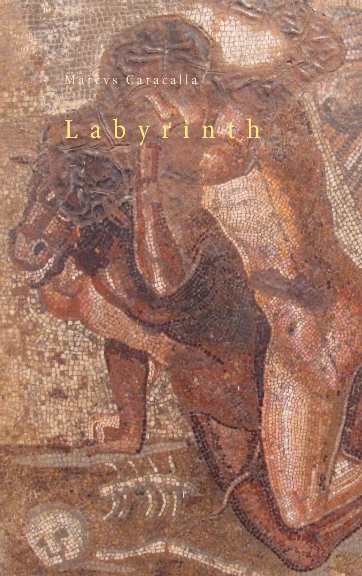 Cover: 9783738614626 | Labyrinth | Marcus Caracalla | Taschenbuch | 276 S. | Deutsch | 2015
