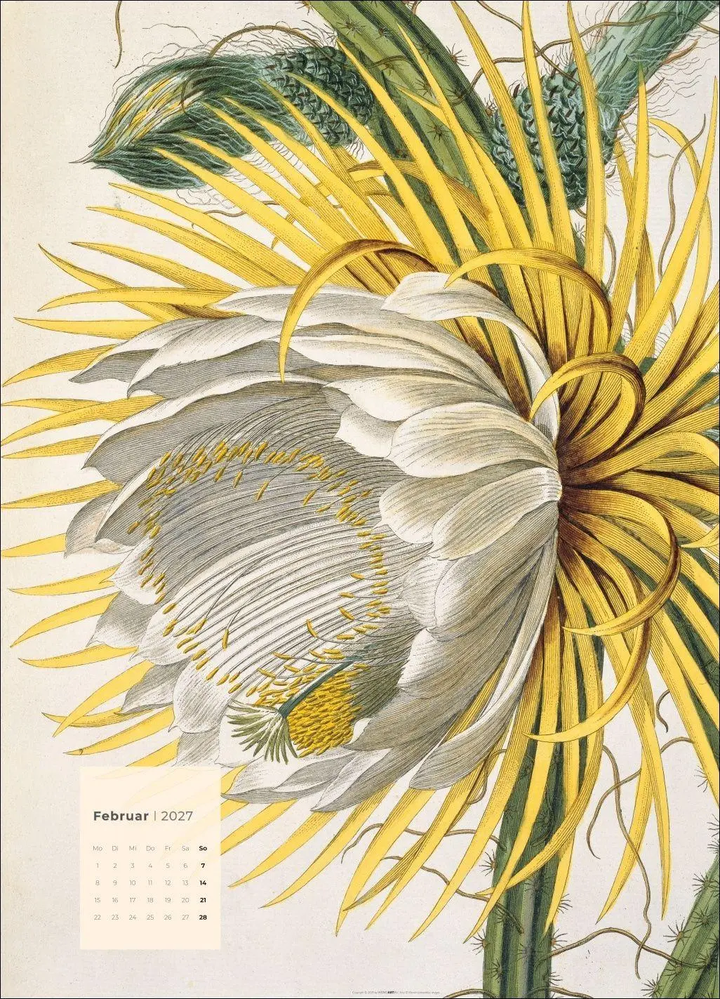 Bild: 9783839904626 | Botanicals Kalender 2027 | Kalender | Spiralbindung | 14 S. | Deutsch
