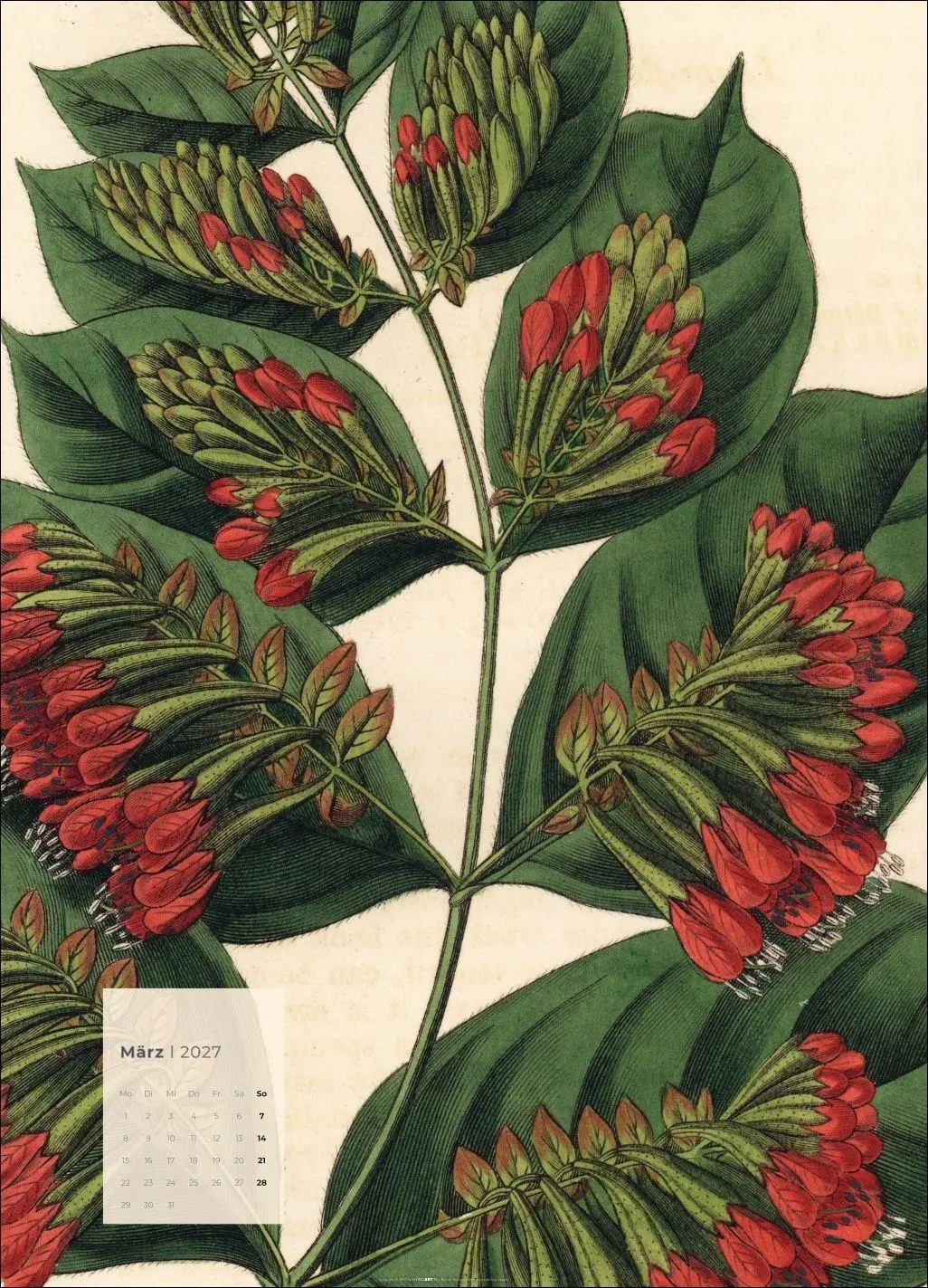Bild: 9783839904626 | Botanicals Kalender 2027 | Kalender | Spiralbindung | 14 S. | Deutsch