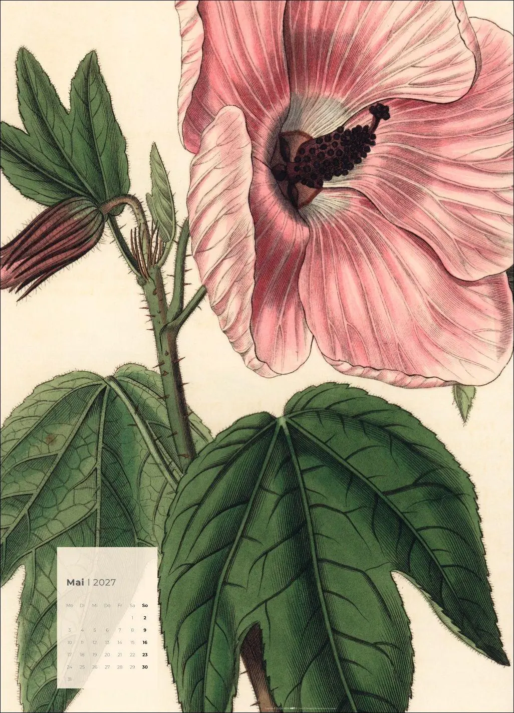 Bild: 9783839904626 | Botanicals Kalender 2027 | Kalender | Spiralbindung | 14 S. | Deutsch