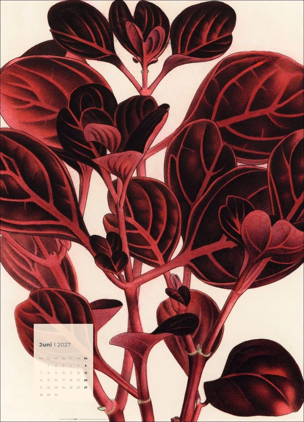 Bild: 9783839904626 | Botanicals Kalender 2027 | Kalender | Spiralbindung | 14 S. | Deutsch