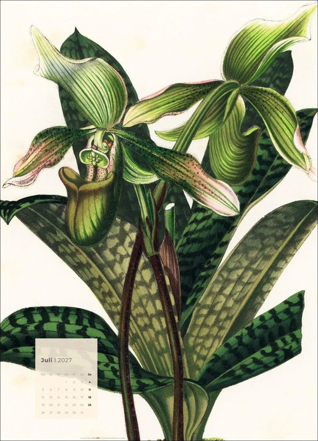Bild: 9783839904626 | Botanicals Kalender 2027 | Kalender | Spiralbindung | 14 S. | Deutsch