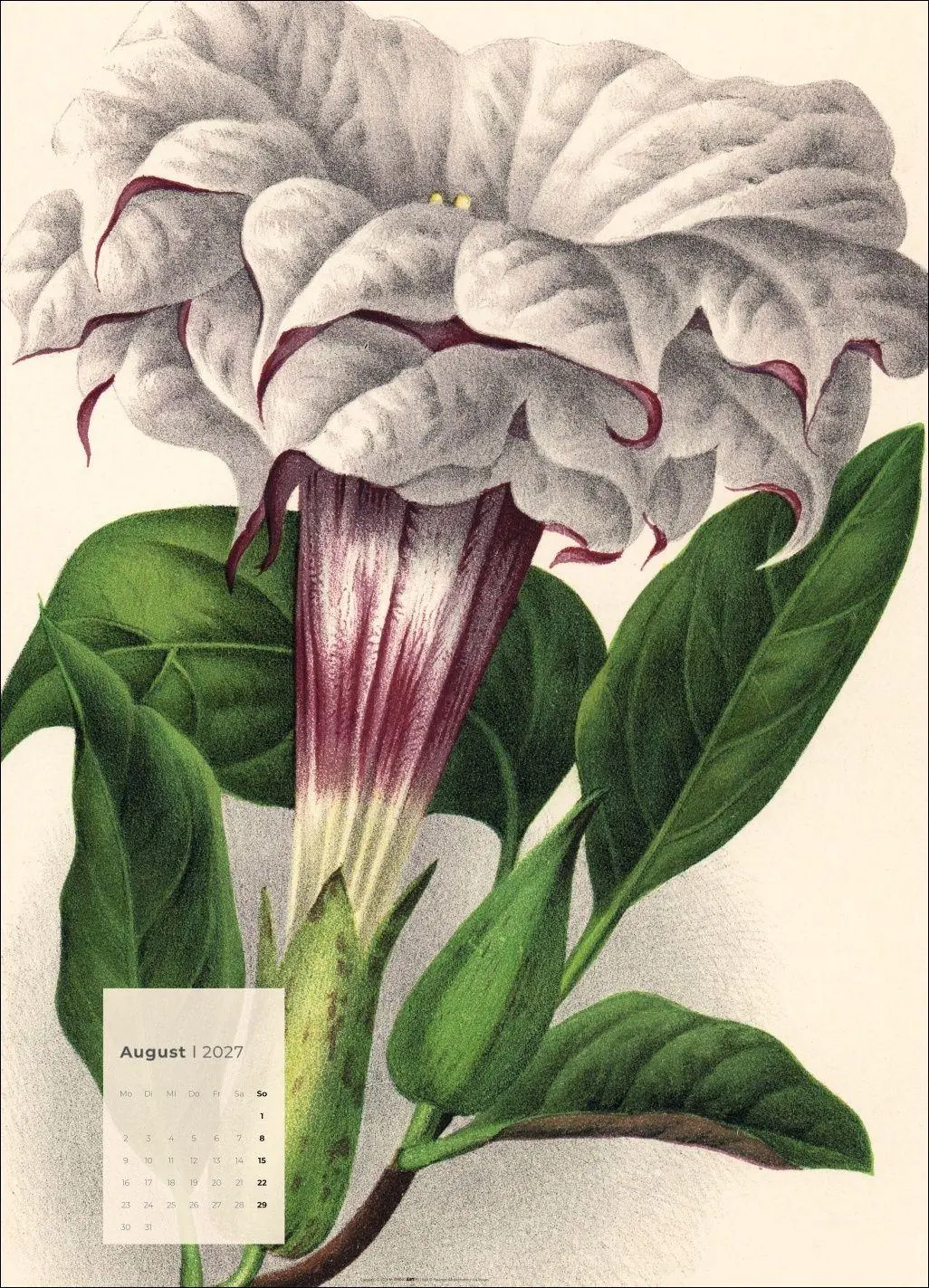 Bild: 9783839904626 | Botanicals Kalender 2027 | Kalender | Spiralbindung | 14 S. | Deutsch
