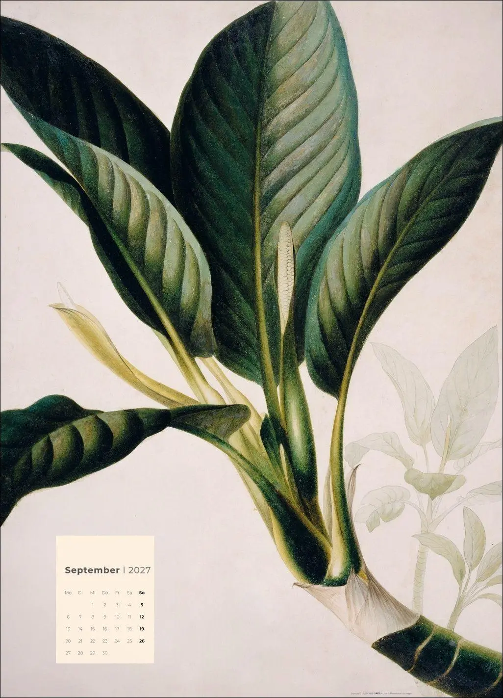 Bild: 9783839904626 | Botanicals Kalender 2027 | Kalender | Spiralbindung | 14 S. | Deutsch