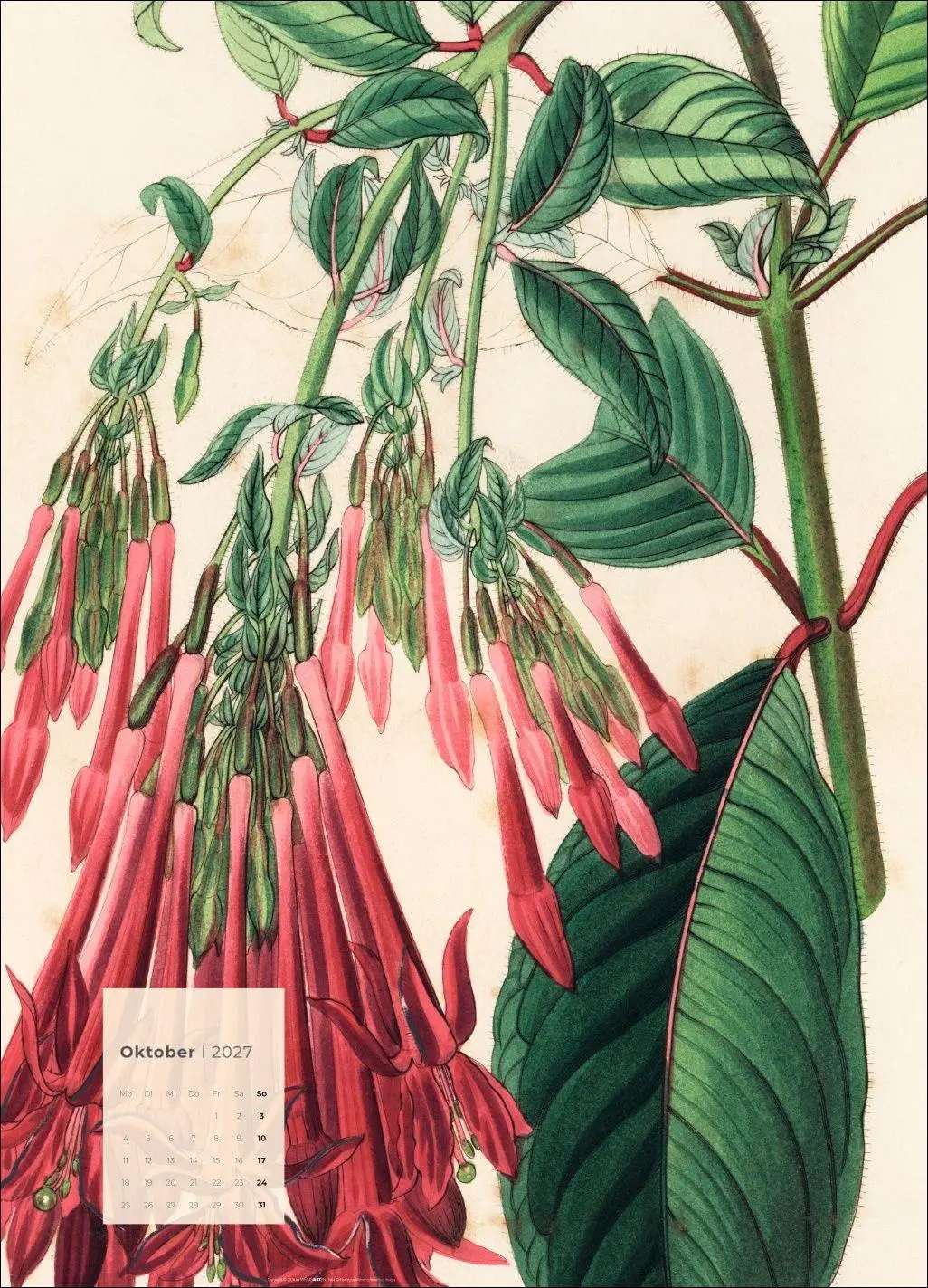 Bild: 9783839904626 | Botanicals Kalender 2027 | Kalender | Spiralbindung | 14 S. | Deutsch