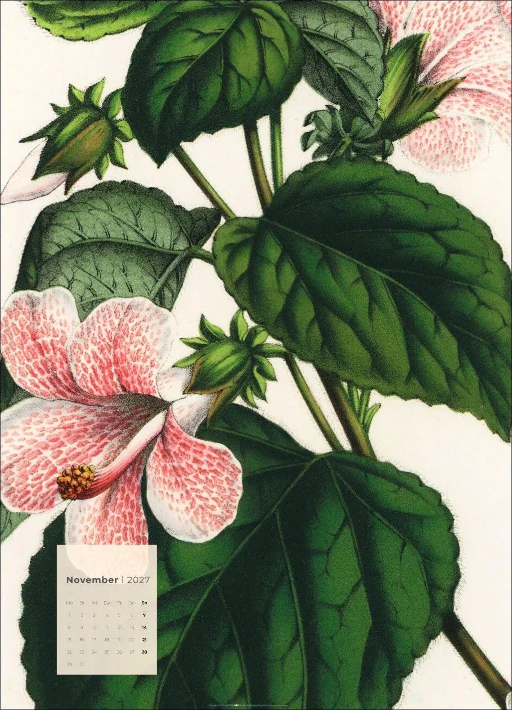 Bild: 9783839904626 | Botanicals Kalender 2027 | Kalender | Spiralbindung | 14 S. | Deutsch