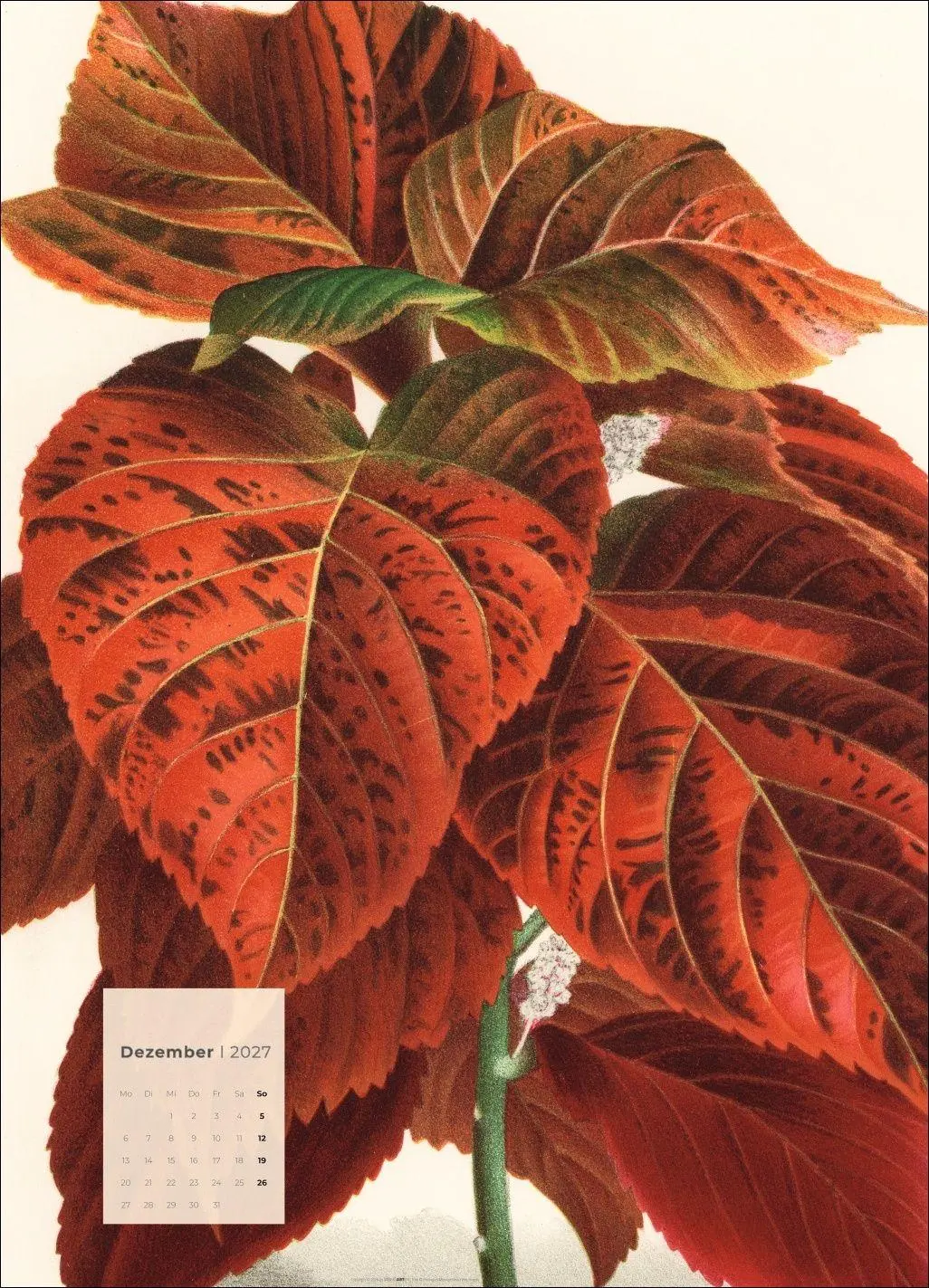 Bild: 9783839904626 | Botanicals Kalender 2027 | Kalender | Spiralbindung | 14 S. | Deutsch
