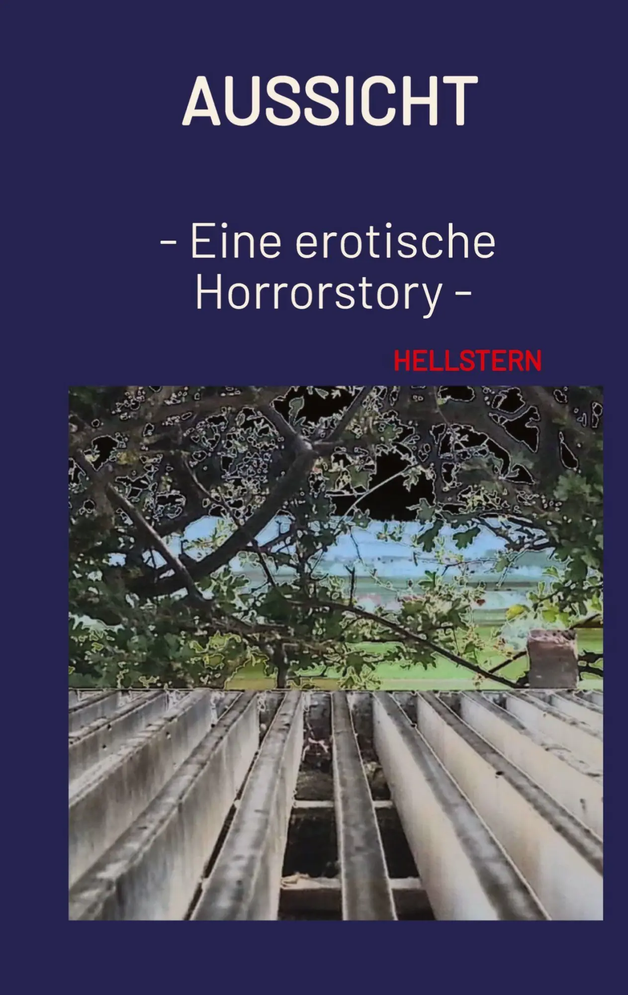 Cover: 9783384704726 | Aussicht (Softcover) | - Eine erotische Horrorstory - | Lichts | Buch