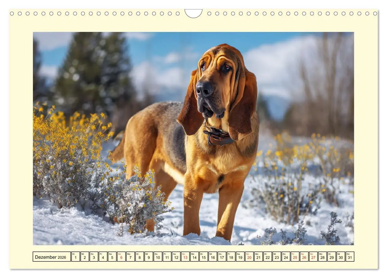 Bild: 9783457824726 | Bloodhound Momente. Zielstrebige Schnüffler mit treuer Seele...