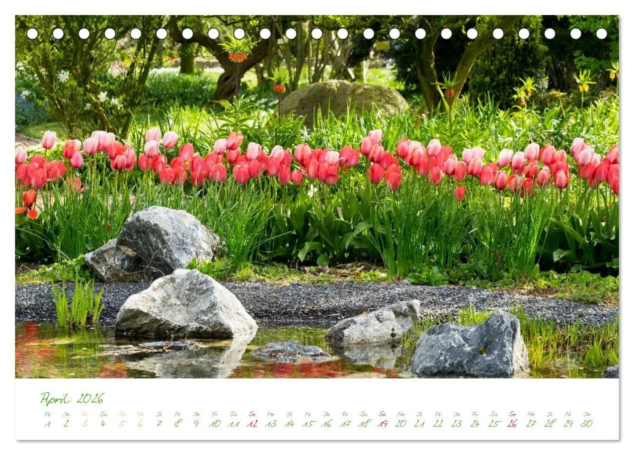 Bild: 9783457994726 | Kreislehrgarten in Steinfurt (Tischkalender 2026 DIN A5 quer),...