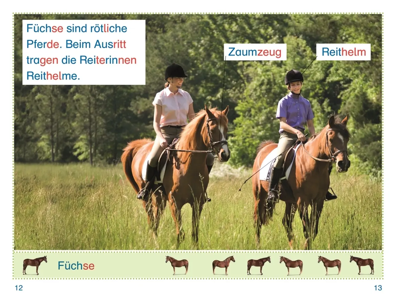 Rückseite: 9783831044726 | SUPERLESER! Sophie bei den Pferden | Fiona Lock | Buch | SUPERLESER!