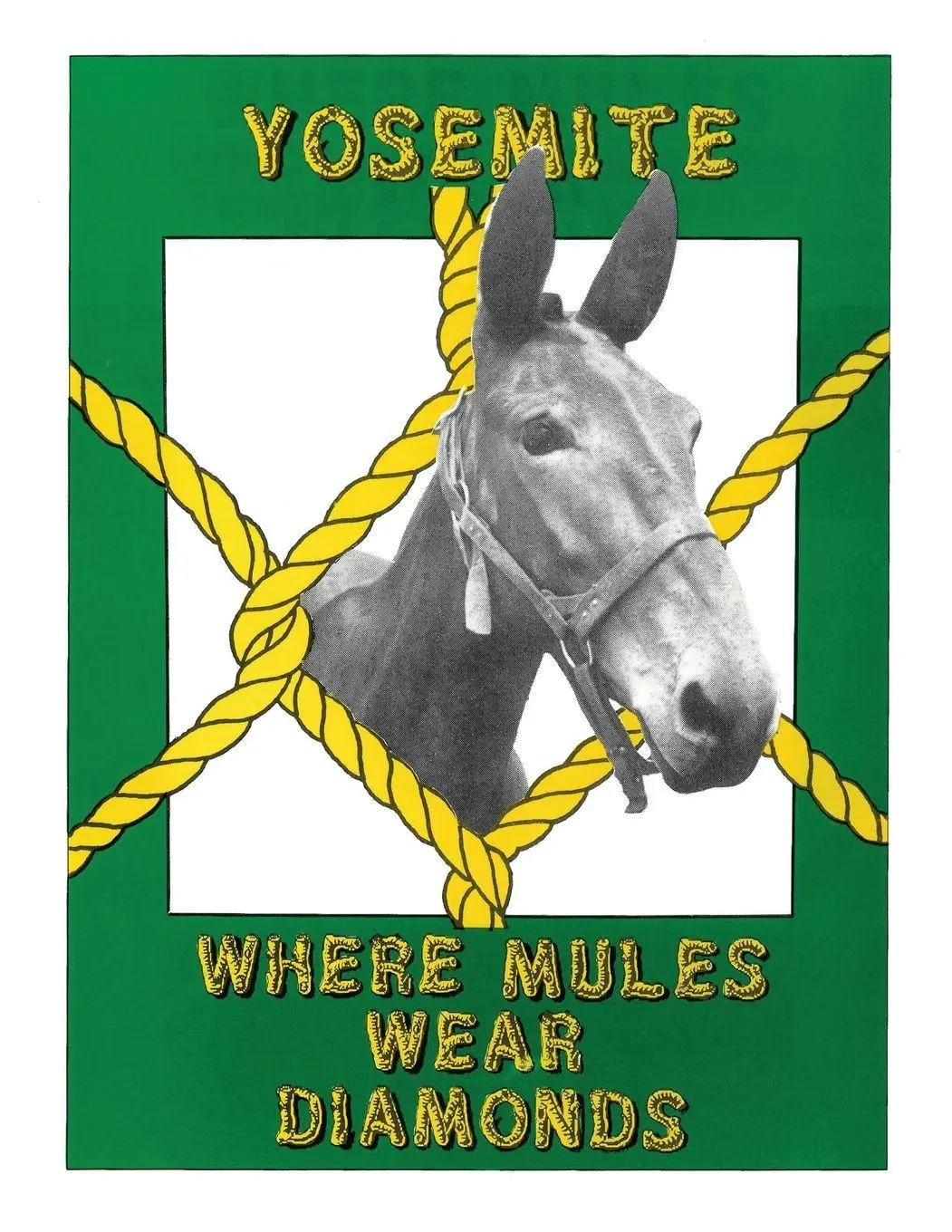 Cover: 9798989354726 | Yosemite | Where Mules Wear Diamonds | Bob Barrett | Taschenbuch