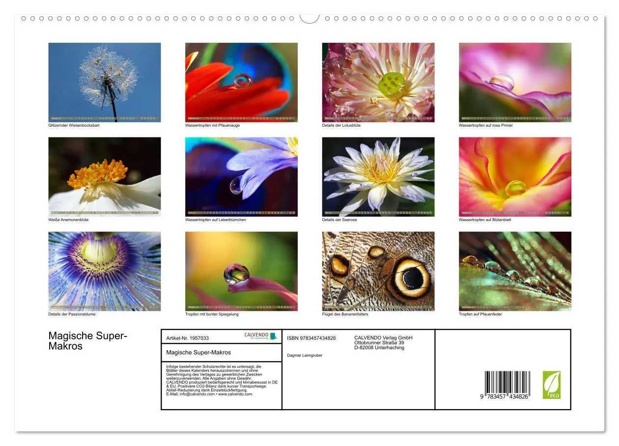 Bild: 9783457434826 | Magische Super-Makros (hochwertiger Premium Wandkalender 2026 DIN...