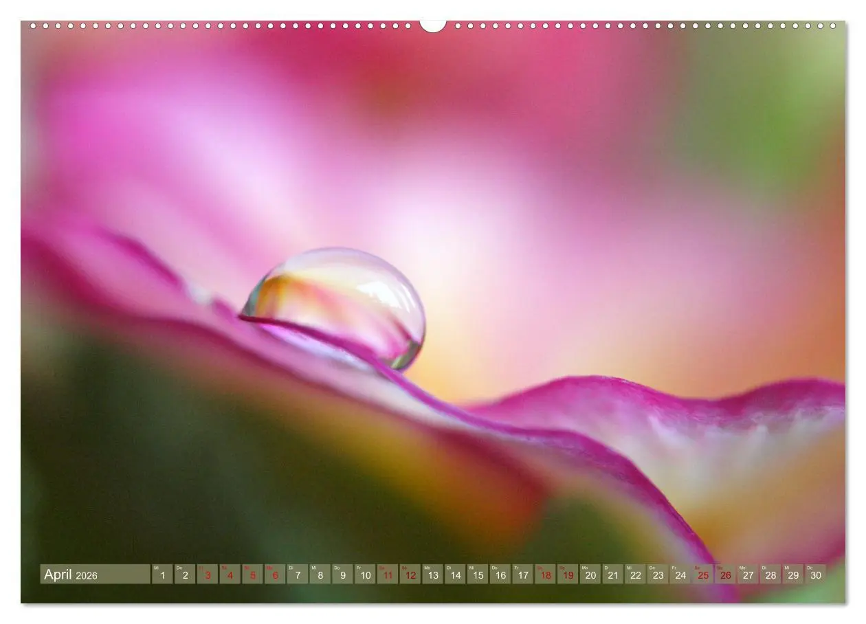 Bild: 9783457434826 | Magische Super-Makros (hochwertiger Premium Wandkalender 2026 DIN...
