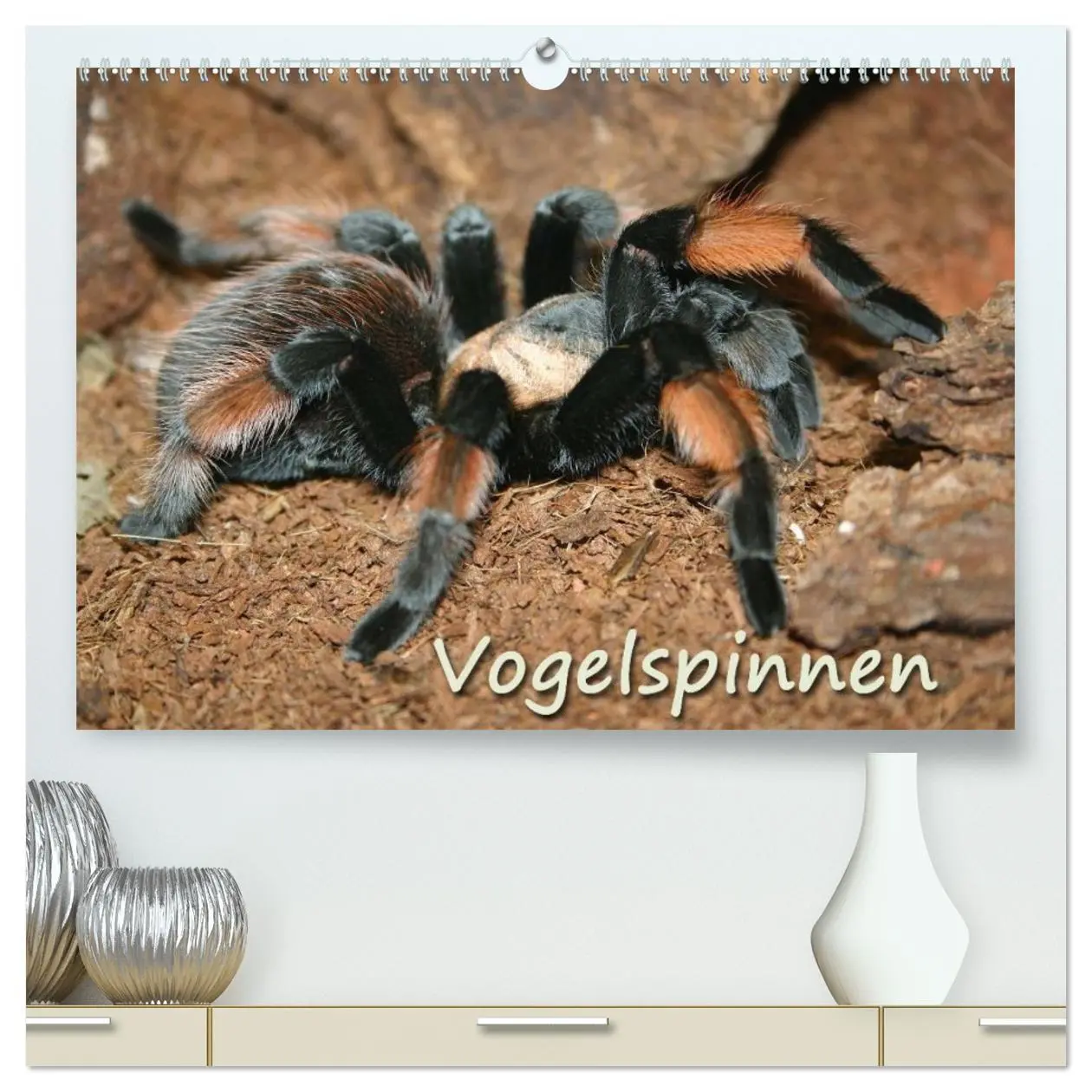 Cover: 9783516074826 | Vogelspinnen (hochwertiger Premium Wandkalender 2026 DIN A2 quer),...