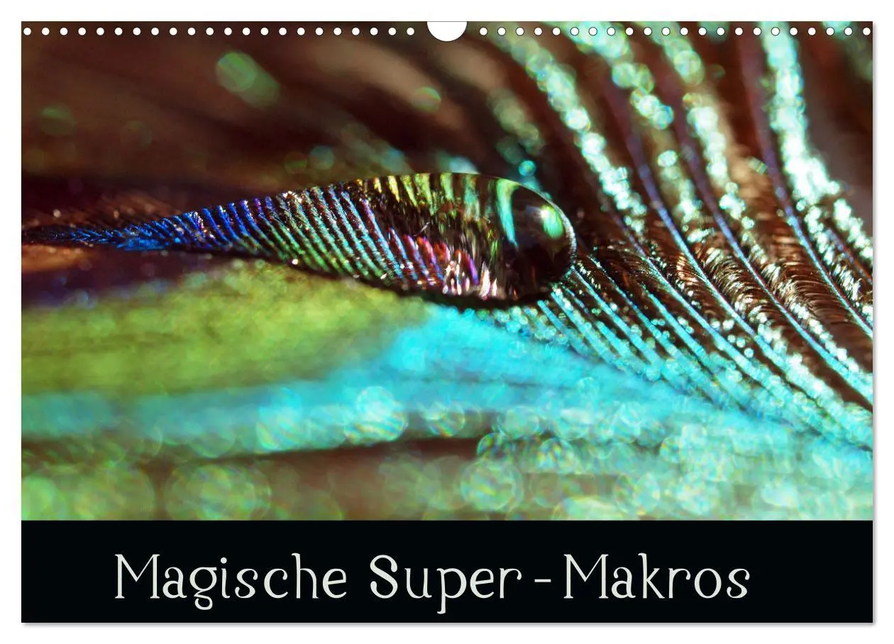 Cover: 9783457594926 | Magische Super-Makros (Wandkalender 2026 DIN A3 quer), CALVENDO...