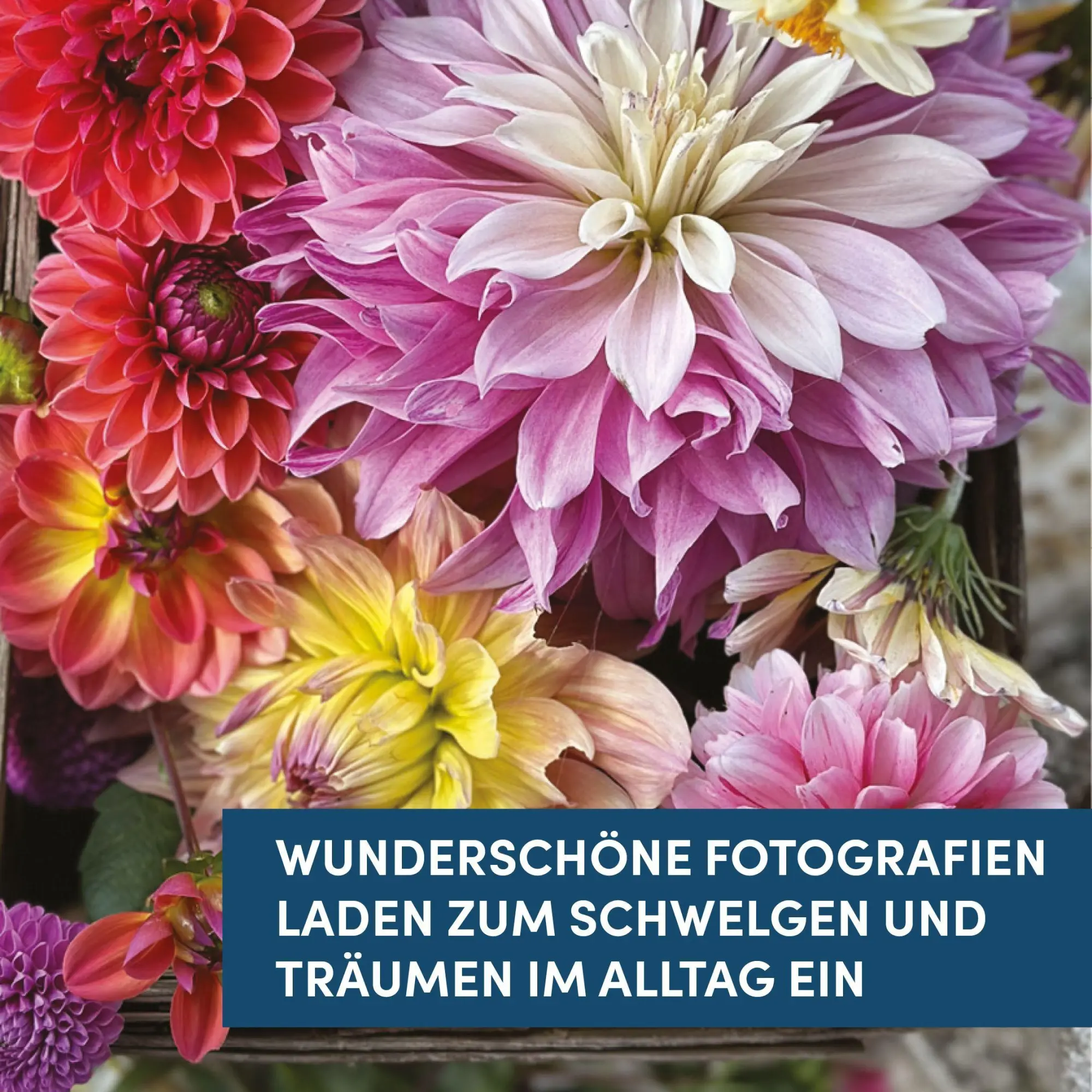 Bild: 9783735854926 | Jeanne d'Arc Living: Buchkalender 2027 | Buch | 186 S. | Deutsch