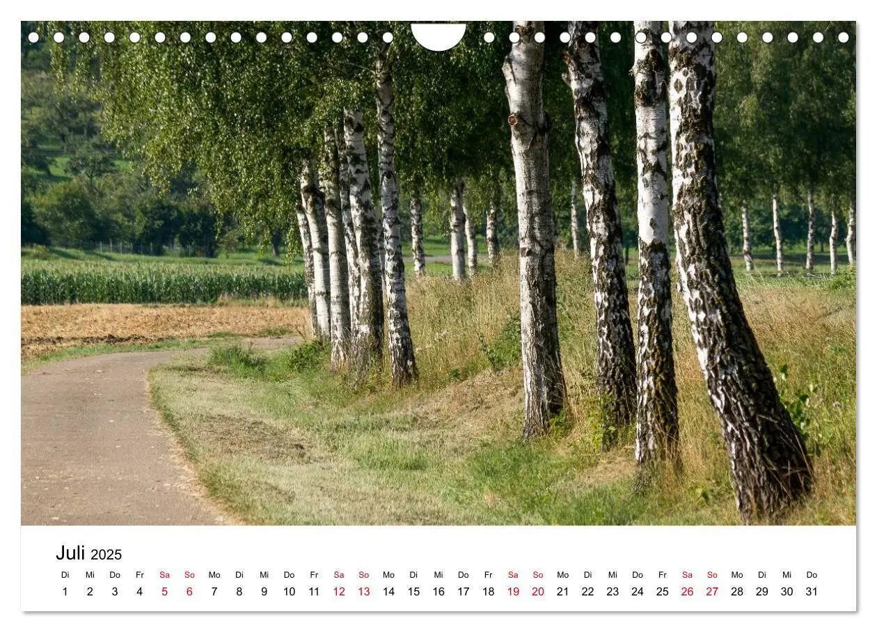 Bild: 9783435465026 | Wege in der Natur - Kraichgau und Enzkreis (Wandkalender 2025 DIN...