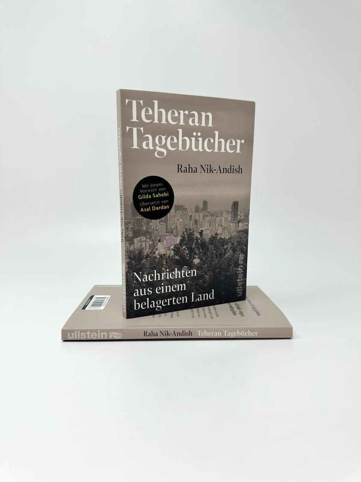 Bild: 9783550205026 | Teheran Tagebücher | Raha Nik-Andish | Taschenbuch | 96 S. | Deutsch