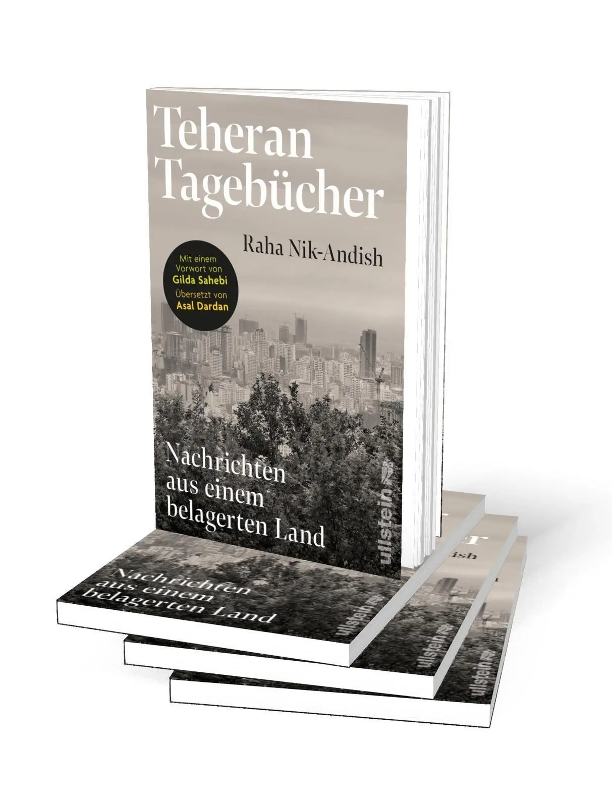 Bild: 9783550205026 | Teheran Tagebücher | Raha Nik-Andish | Taschenbuch | 96 S. | Deutsch