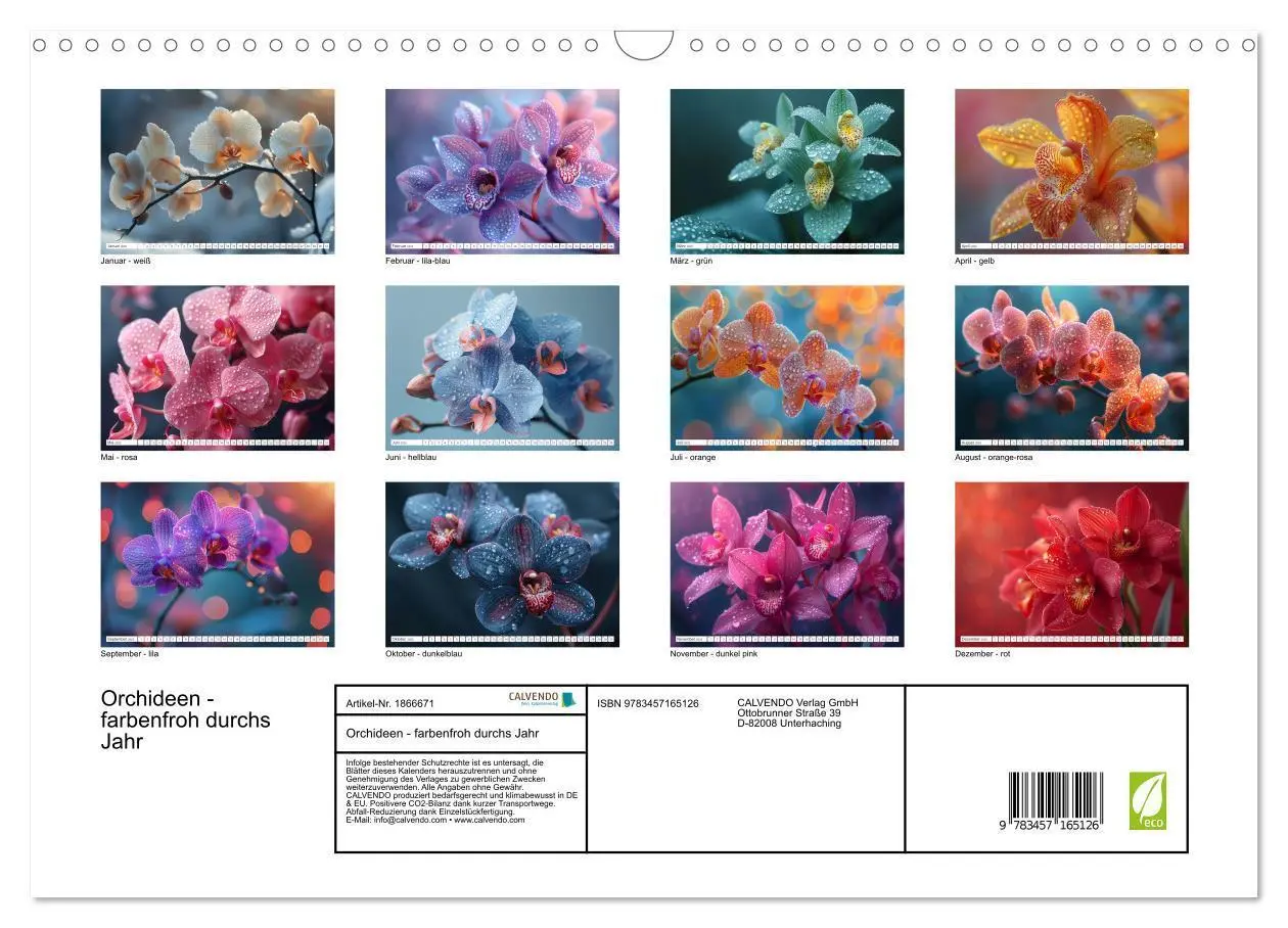 Bild: 9783457165126 | Orchideen - farbenfroh durchs Jahr (Wandkalender 2025 DIN A3 quer),...