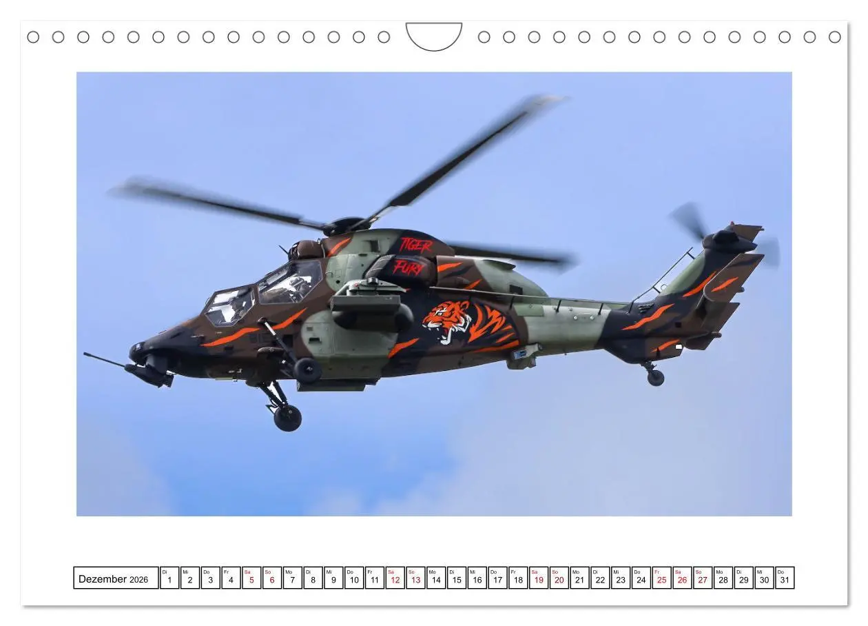 Bild: 9783457305126 | Nato Tiger Meet Schleswig (Wandkalender 2026 DIN A4 quer), CALVENDO...