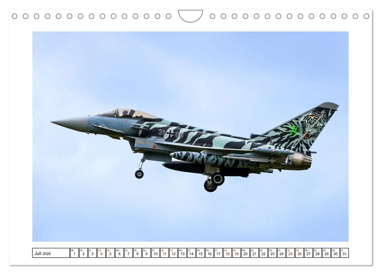 Bild: 9783457305126 | Nato Tiger Meet Schleswig (Wandkalender 2026 DIN A4 quer), CALVENDO...