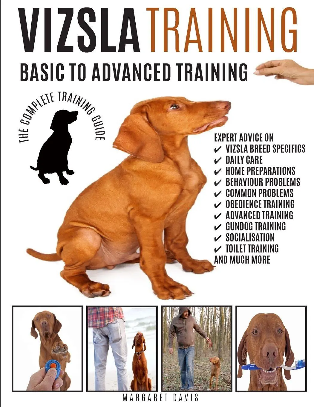 Cover: 9781910915226 | VIZSLA TRAINING | Margaret Davis | Taschenbuch | Englisch | 2026